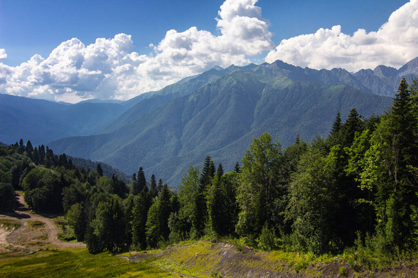 Bellissimo paesaggio montano in una giornata estiva soleggiata. Alberi di conifere, cielo blu con nuvole bianche - Foto, immagini