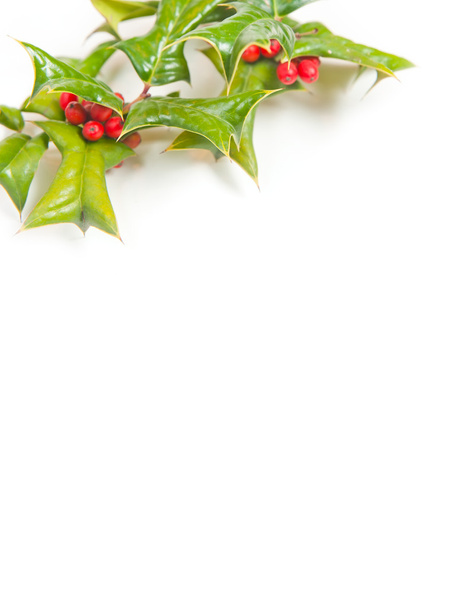 Marco verde de Navidad con baya de acebo aislado
 - Foto, Imagen