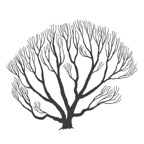木、多くの枝、ハロウィーンのデザインベクトル描画 - ベクター画像
