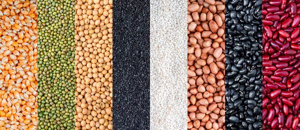 Multicolor dried legumes for background. Different dry bean for eating healthy. A variety of beans. Multicolor dried legumes for background. - Foto, Bild