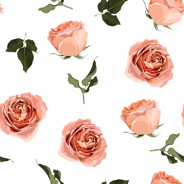 Floral seamless pattern, background design: garden peach, creamy, orange Rose, green leaves. Watercolor elegant, cute illustration. White background. - Vector, Image