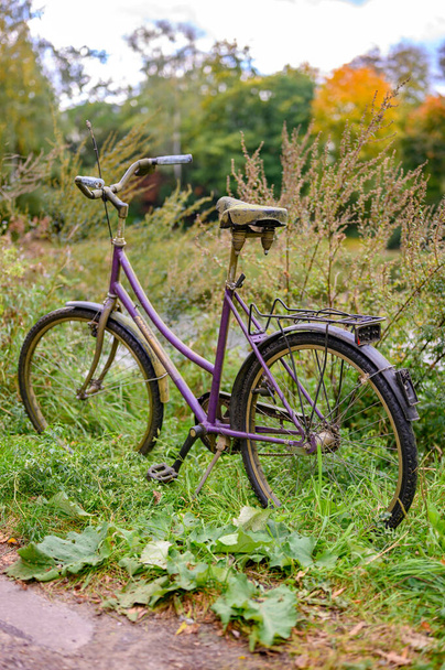 Berlin, Germany - October 12, 2019: Abandoned weathered bike in a park on the edge of a lake. - Foto, Bild