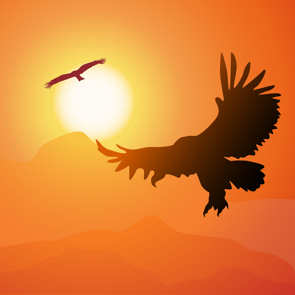 vierkante cartoon illustratie van stijgende eagle en zonsondergang. - Vector, afbeelding