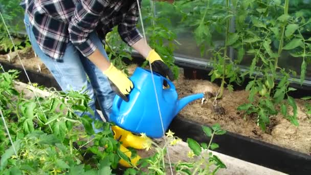 A hobbik és a vidéki élet fogalma. Fiatal nő öntözés növények üvegházban - Felvétel, videó