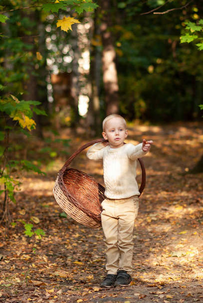 A boy in the woods with a basket on his shoulder saw something ahead and points there with his finger - Фото, зображення