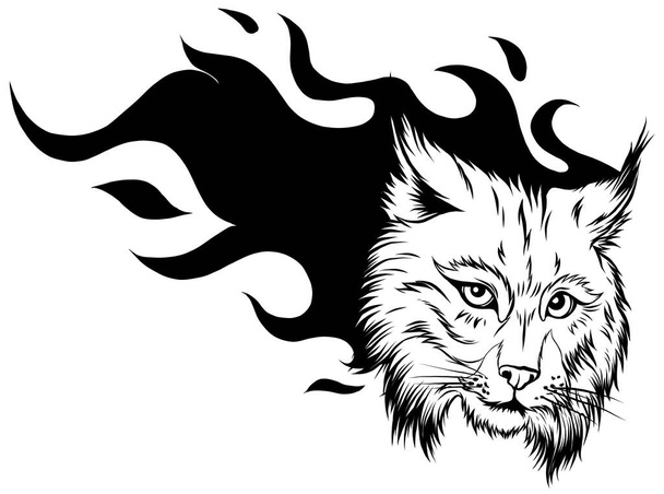 Lynx állati arc. Vektor Eurázsiai hiúz macska fej portré. - Vektor, kép