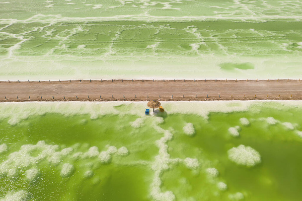 El lago salino verde y sombrilla de playa, fondo lago natural. Foto en Qinghai, China. - Foto, imagen