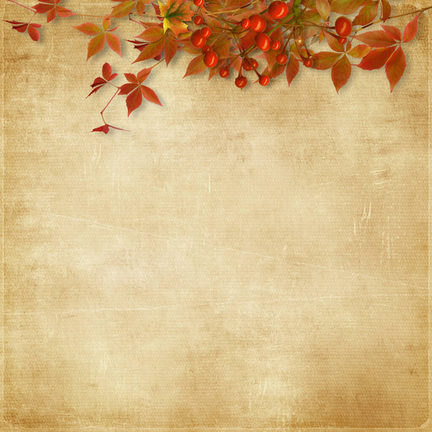 Autumn background. Autumn branch with leaves and berries on vintage background with copy space - Fotó, kép