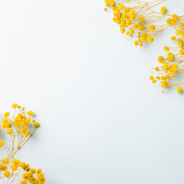 Keltainen vauvan hengitys, mustalainen kuivia kukkia vaaleansinisellä taustalla. tasainen lay, ylhäältä näkymä, kopioi tilaa - Valokuva, kuva
