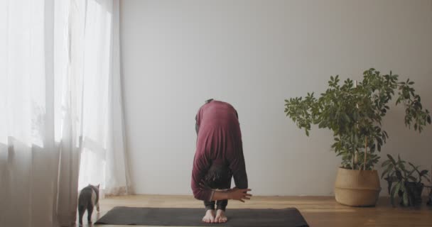 Alkalmas férfi áll uttanasana pózol szőnyegen beltéri természetes fény lassított felvétel. Jógi mester bemutatja rugalmas test gyakorló jóga napfényes szobában másolja szöveges hely. Aktív egészséges életmód koncepció - Felvétel, videó