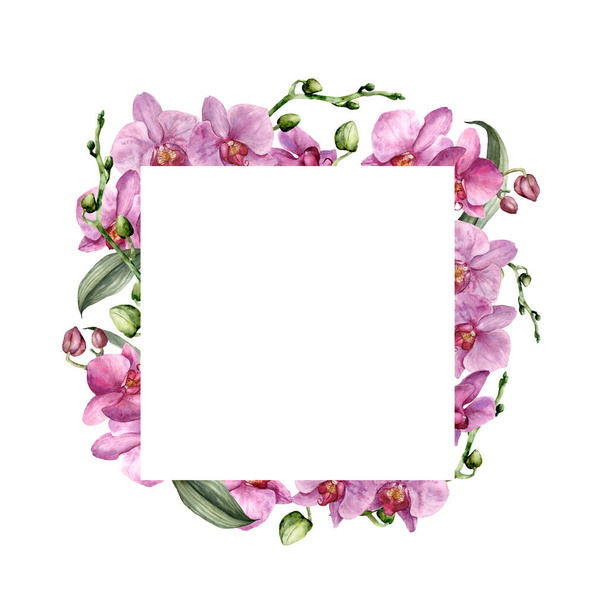 ピンクの蘭と水彩色の正方形のフレーム。手は白い背景に孤立した花、葉や芽で熱帯の境界線を描いた。デザイン、印刷、背景のための花のイラスト. - 写真・画像