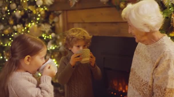 Μικρά παιδιά με άνετα πουλόβερ πίνοντας ζεστό σοκολατούχο γάλα δίπλα σε ζεστό τζάκι μιλώντας με τη γιαγιά την παραμονή των Χριστουγέννων - Πλάνα, βίντεο