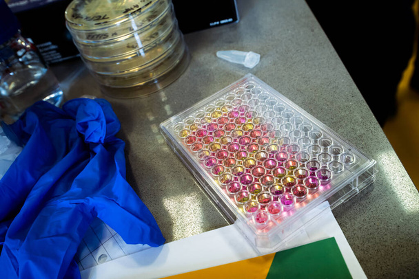 96 kutak pipetta lemez tele színes mintákkal egy laboratóriumi asztalon - Fotó, kép