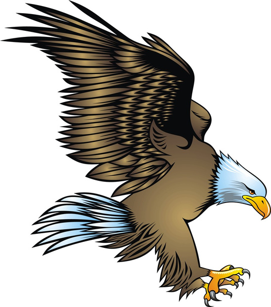 Симпатичный орел
 - Вектор,изображение