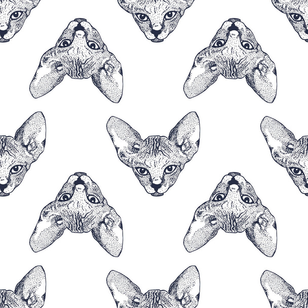 Heads Sphinx kittens seamless pattern. The cat is spotty. Prints for clothes, T-shirts. Vector illustration - Vektor, kép