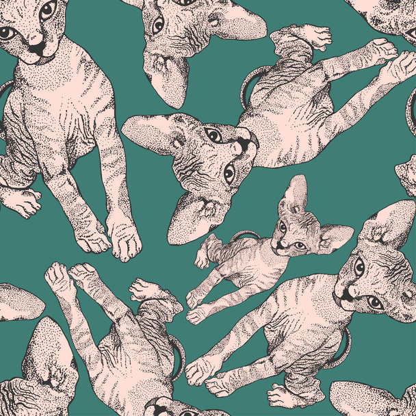 Vector Seamless Pattern with Sphinx kitten. The cat is spotty. Black and white. Prints for clothes, T-shirts. Hand drawn sketch illustration - ベクター画像