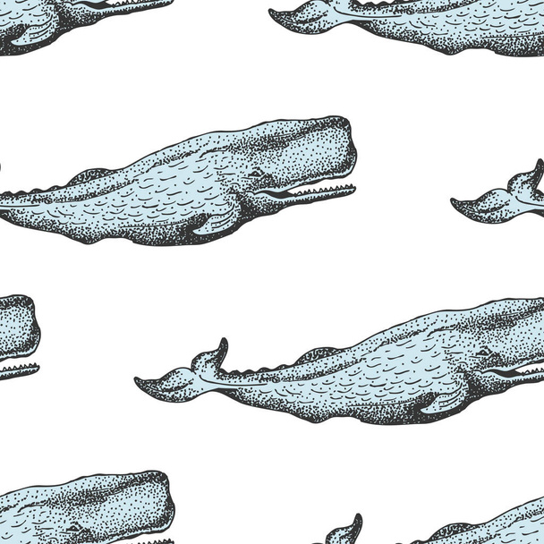 Vector Seamless Pattern With Whales. Hand drawn sketch illustration - Vektori, kuva