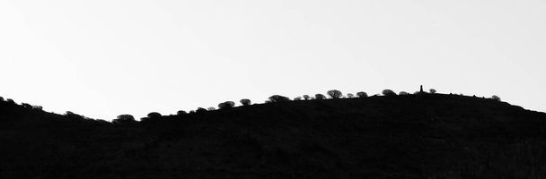 Undulating cima de la colina con árboles siluetas contra el cielo blanco con espacio para la copia - Foto, Imagen