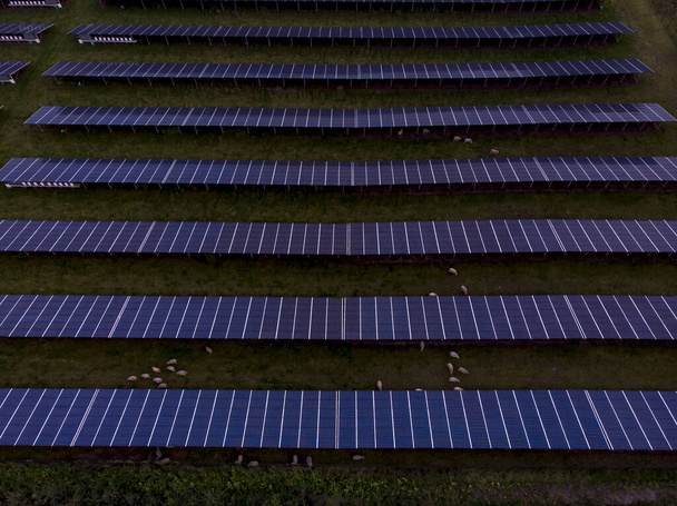 Vista aérea geométrica de arriba hacia abajo de la estación del panel solar con largas filas de instalaciones de absorción de energía de la fuente de alimentación - Foto, Imagen