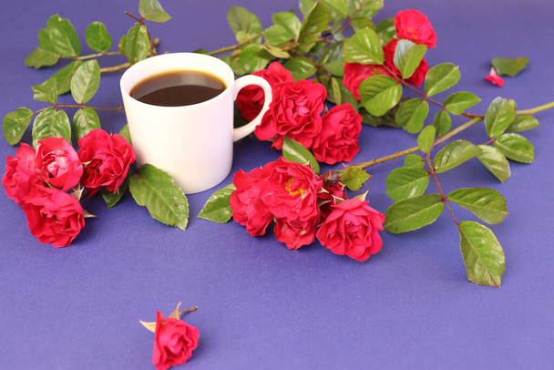 A coffee mug with natural red roses on purple background - 写真・画像
