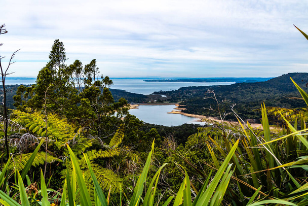 ニュージーランド北島ワイタケリー山脈からのManukua港の景色 - 写真・画像