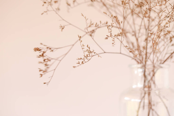 Clear glass bottle with delicate dried foliage with basic cream background. Landscape orientation. - Foto, immagini