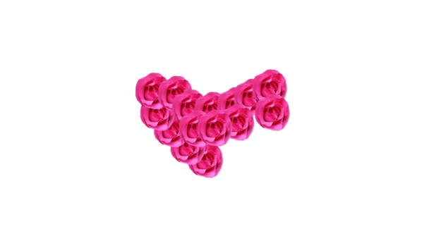koncepcja róża różowy serce, różowy - Materiał filmowy, wideo