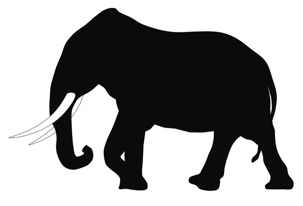 Elephant - Vecteur, image