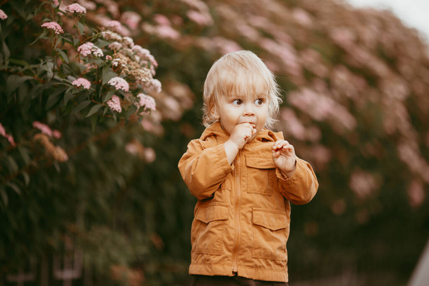 Cute baby boy walking in the beige jacket at sunset, on an autumn day - Zdjęcie, obraz