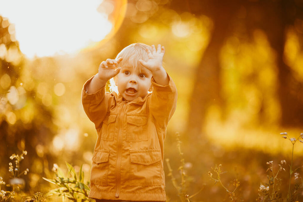 Cute baby boy walking in the beige jacket at sunset, on an autumn day - Photo, image