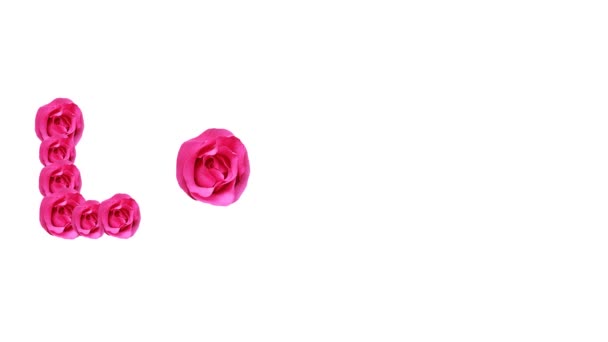 miłość, różowy róża koncepcja - Materiał filmowy, wideo