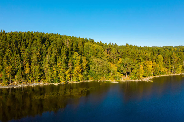 Aerial view of the Ladoga lake and forest.  Autumn. Republic of Karelia - Foto, afbeelding