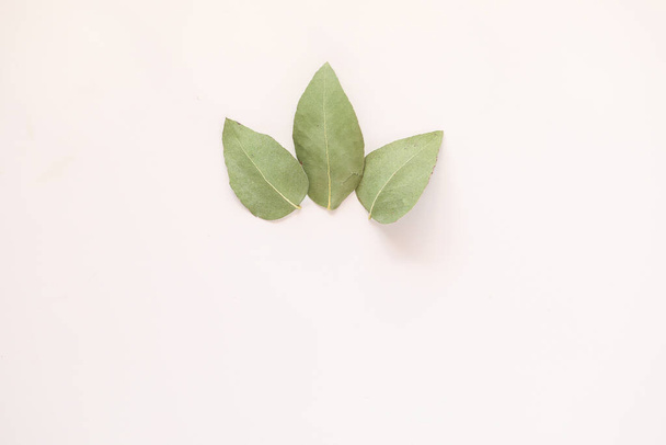 Simple flat lay image featuring three gum leaves on cream colored background with copy space. Landscape orientation. - Φωτογραφία, εικόνα