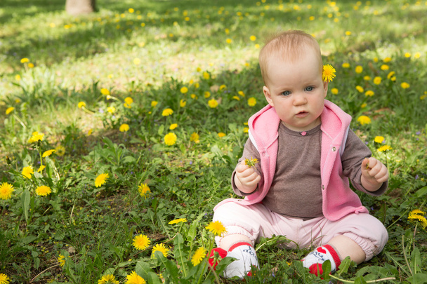 Little baby playing in the park on the grass on a sunny day - Foto, Imagen