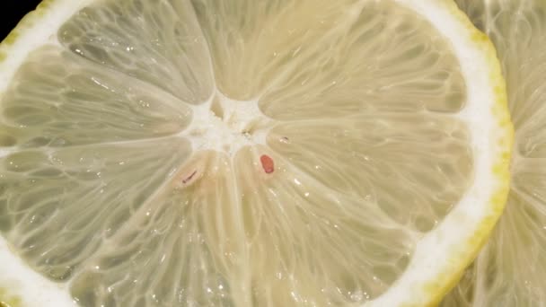 Lemon slices close-up. 4K video . Citrus fruit. - Footage, Video