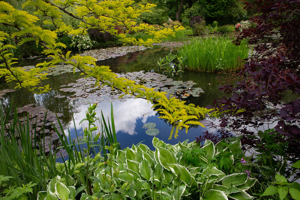 GIVERNY,フランス, 2015年5月21日:フランス、ノルマンディーのクロード・モネの印象派の庭園と池 - 写真・画像