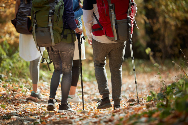 Hikers on a steep trail through the woods on a beautiful autumn day - Photo, Image