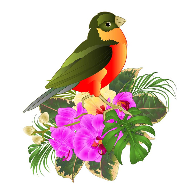 Tropical bird with tropical flowers   floral arrangement, with beautiful orchid and yelow hibiscus,palm,philodendron and ficus vintage vector illustration  editable hand draw - Vector, Image