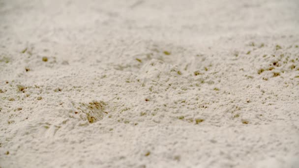 Uno studente sta facendo un salto in lungo e atterra in piedi in un pozzo di sabbia. I bambini stanno avendo una giornata piena di attività sportive fuori dalla scuola. - Filmati, video