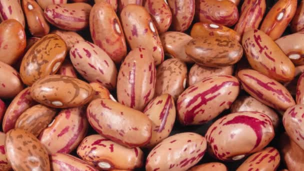 Beige beans legumes. Close-up. Super macro. 4K video. Organic legumes. - Footage, Video