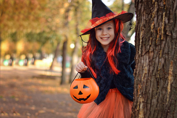 Halloween trick or treat.Happy girl wearing a witch's hat, with a pumpkin handbag, peeps out from behind a tree.. Funny kid in carnival costumes outdoors. - Foto, Bild