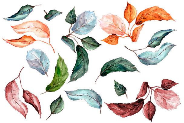 Akvarell illusztráció. Állítsa be a különböző színű almalevelek barna, sárga, zöld. Fehér alapon elszigetelve. - Fotó, kép