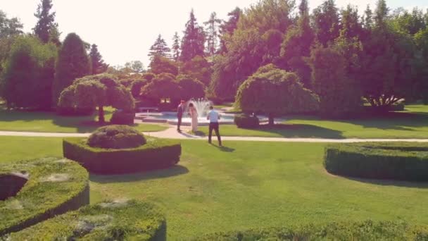 It's a gorgeous day for a wedding and for wedding photos taken in the famous gardens in Slovenia. Aerial shot. - Footage, Video