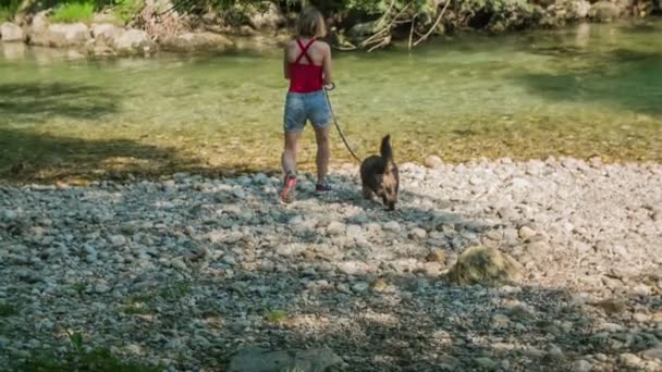 Μια νεαρή γυναίκα βγάζει βόλτα το σκύλο της το καλοκαίρι. Τον έχει δεμένο με λουρί. Ανεβαίνουν στο νερό. Είναι μια ωραία καλοκαιρινή μέρα.. - Πλάνα, βίντεο