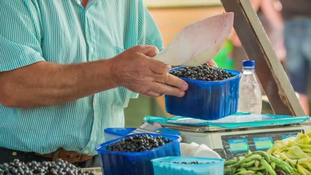 A man who is selling blueberries is weighing each of the small plastic baskets separately so that the weight in all of them is the same. - Footage, Video