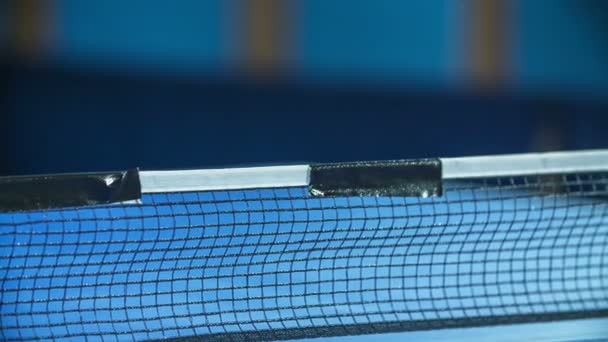 Egy kék asztali tenisz háló közepén. A gyerekek sportolnak az iskolában, és nagyon jól érzik magukat.. - Felvétel, videó