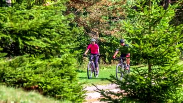 Dos ciclistas están montando lentamente sus bicicletas en una naturaleza hermosa y verde. El clima también es muy agradable.. - Metraje, vídeo