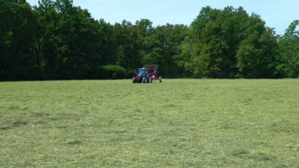 Een tractor bereidt hooi voor op een groot grasveld. Hooi is overal in de buurt. De dag is zonnig en warm. - Video
