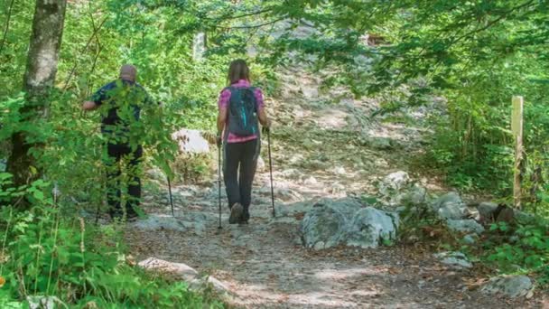 Una coppia sta camminando con i loro bastoni da trekking in salita. La giornata è bella e verde. - Filmati, video