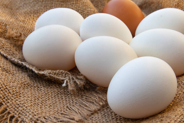 Chicken eggs on a coarse cannabis cloth. Close-up. Selective focus. - Foto, imagen
